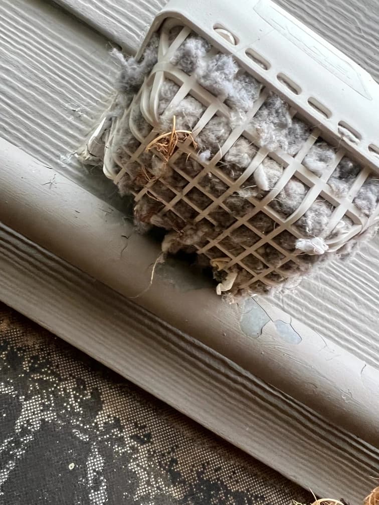 Severely clogged dryer vent cap