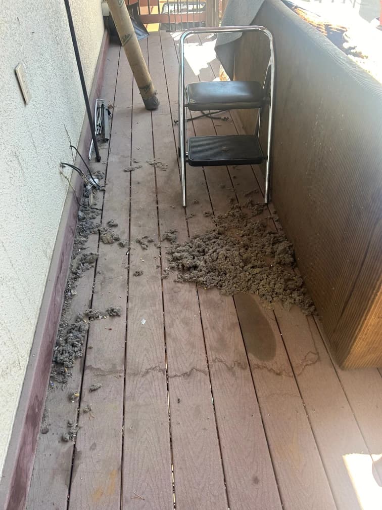 Dryer vent lint mess before cleaning
